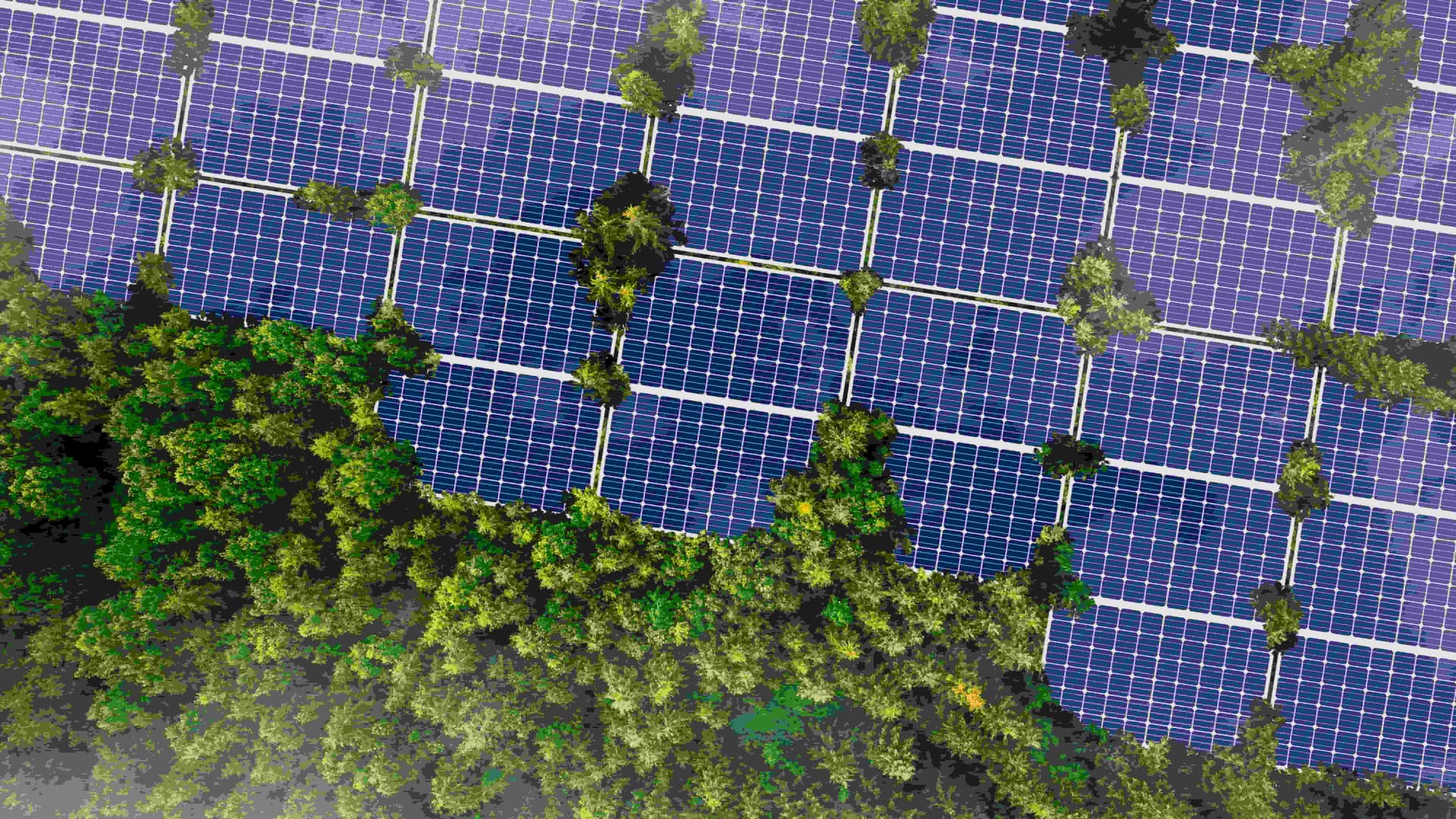 solar panels renewable energy